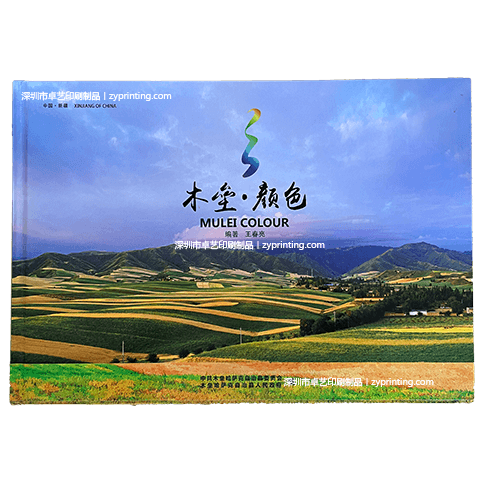 木垒·颜色油画集